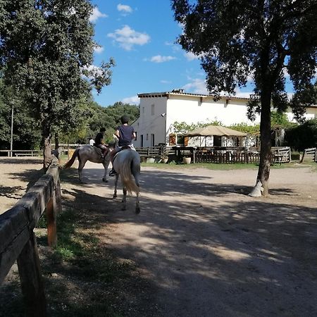 Casa Rural, Can Cirera Seriñá Εξωτερικό φωτογραφία
