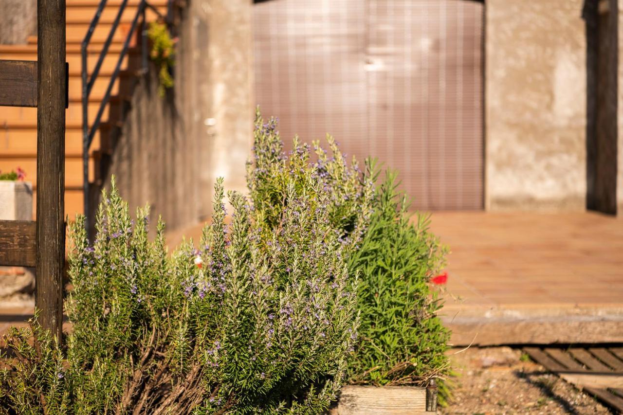 Casa Rural, Can Cirera Seriñá Εξωτερικό φωτογραφία