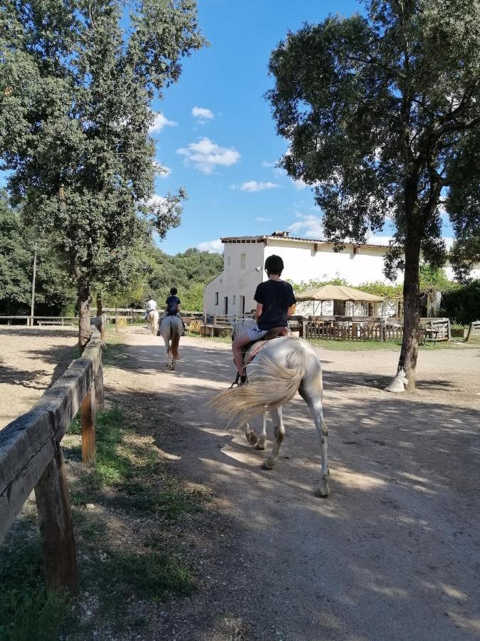 Casa Rural, Can Cirera Seriñá Εξωτερικό φωτογραφία